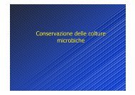 conservazione colture microbiche - AgrariaFree