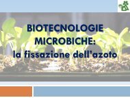 BIOTECNOLOGIE MICROBICHE: LIEVITI E ... - Liceo 