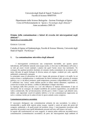 Università degli Studi di Napoli “Federico II” - Corso di ...