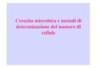 Crescita microbica e metodi di determinazione del numero di cellule