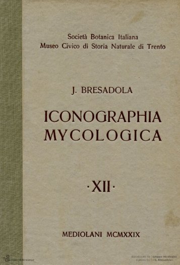 Iconographia Mycologica vol. XII (1930) - Museo Tridentino di ...