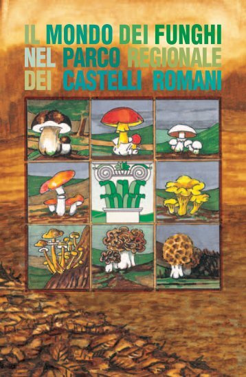 il mondo dei funghi nel parco regionale dei castelli romani