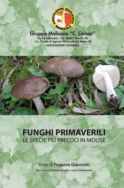 FUNGHI PRIMAVERILI