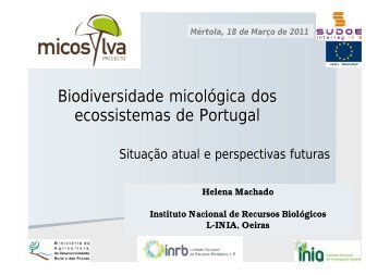 Biodiversidade micológica dos ecossistemas de Portugal