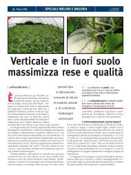 Verticale e in fuori suolo massimizza rese e qualità - Edagricole