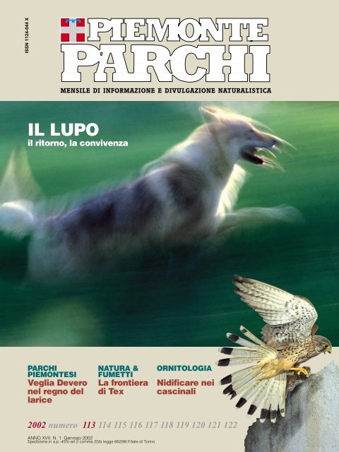 download rivista PDF - Regione Piemonte