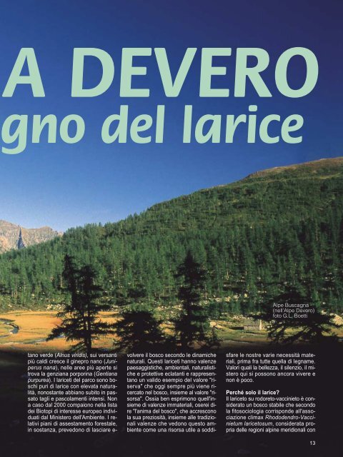 download rivista PDF - Regione Piemonte