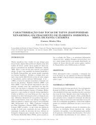 caracterização das tocas de tatus (dasypodidae: xenarthra)