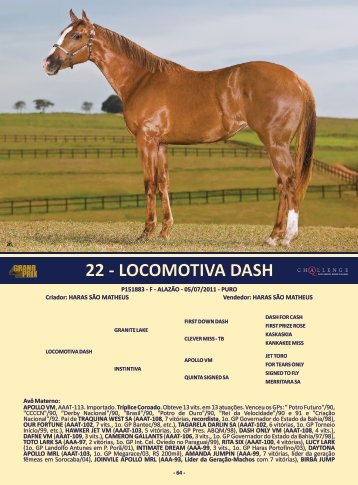 22 - locomotiva dash - Haras Fazenda Bela