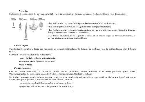 Quelques notions de botanique - formad-environnement
