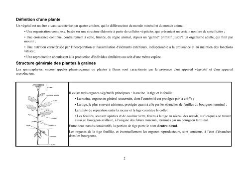 Quelques notions de botanique - formad-environnement