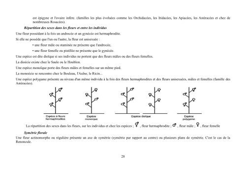 Quelques notions de botanique - formad-environnement