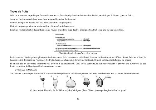 Quelques notions de botanique - formad-environnement