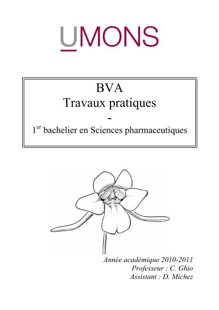 BVA Travaux pratiques -