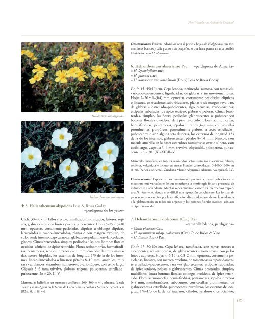 Flora Vascular de Andalucía Oriental, 3