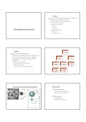 02 Morfologia bacteriilor.pdf