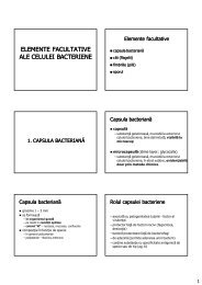 elemente facultative ale celulei bacteriene - Materiale studiu