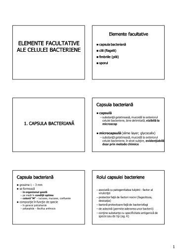 elemente facultative ale celulei bacteriene - Materiale studiu