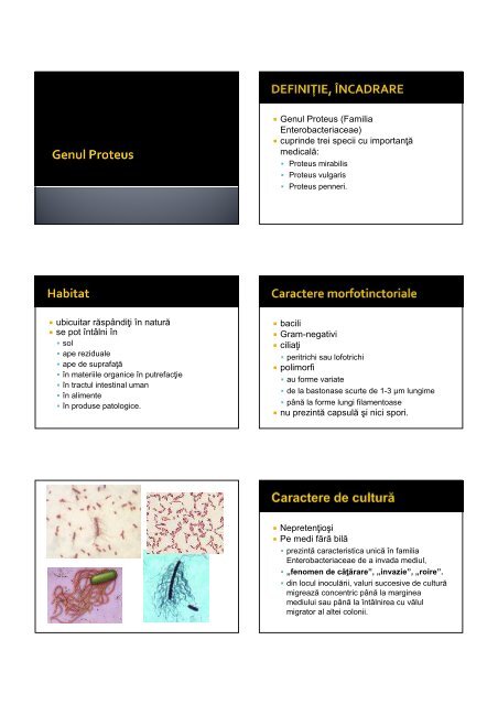 19 Proteus.pdf - Materiale studiu