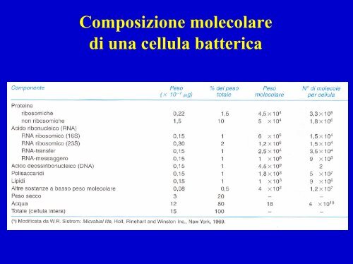 Composizione molecolare di una cellula batterica - Einaudi