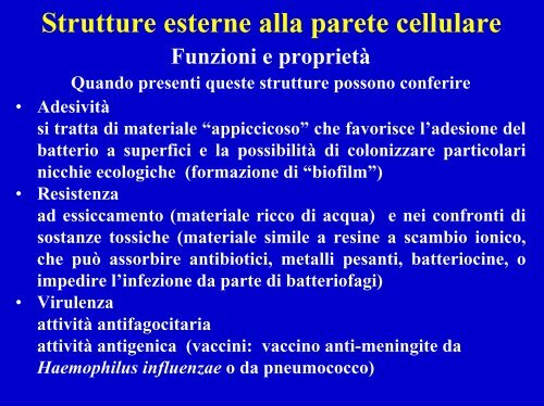 Composizione molecolare di una cellula batterica - Einaudi