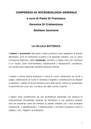 COMPENDIO DI MICROBIOLOGIA GENERALE a cura di Paolo Di ...