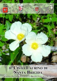 in formato .pdf - Pontassieve Natura