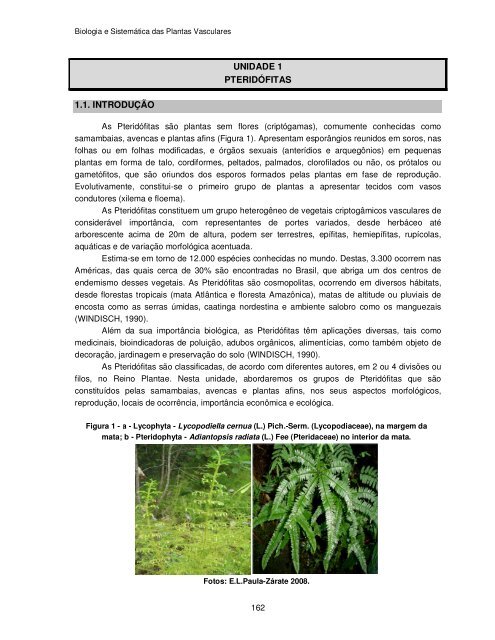 Biologia e Sistemática das Plantas Vasculares - UFPB Virtual