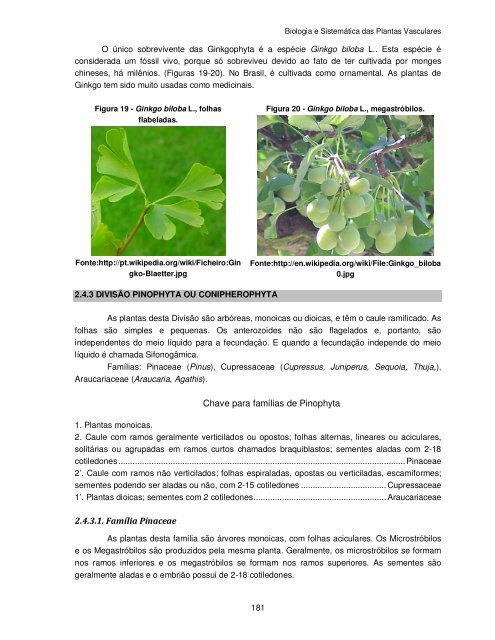 Biologia e Sistemática das Plantas Vasculares - UFPB Virtual