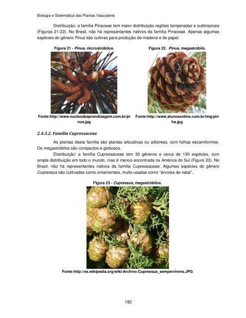 Biologia e Sistemática das Plantas Vasculares - UFPB Virtual