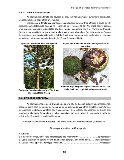 Biologia e Sistemática das Plantas Vasculares - UFPB Virtual