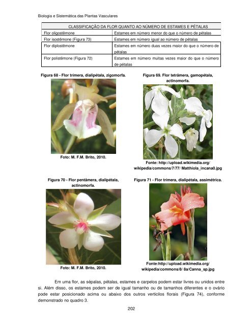 Biologia e Sistemática das Plantas Vasculares - UFPB Virtual