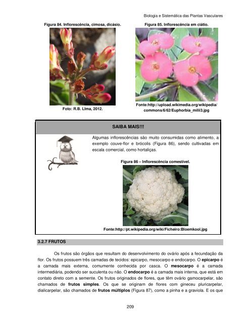 Biologia e Sistemática das Plantas Vasculares - UFPB Virtual