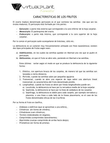 CARACTERISTICAS DE LOS FRUTOS - VirtualPlant