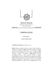 Flora de Veracruz CAMPANULACEAE - Instituto de Ecología, A.C.