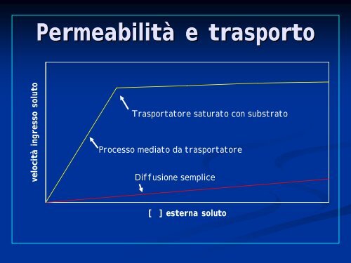 La cellula batterica