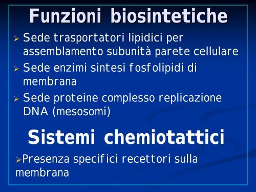 La cellula batterica