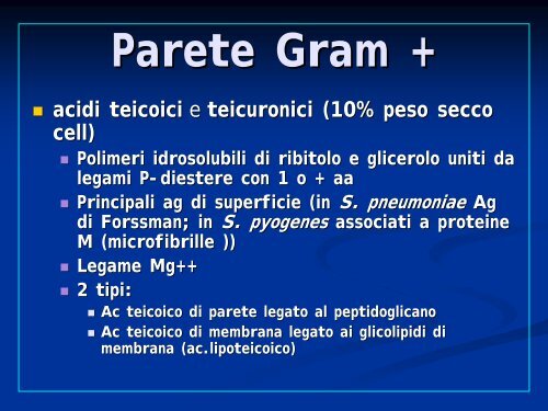 La cellula batterica