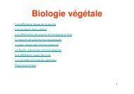 Biologie végétale