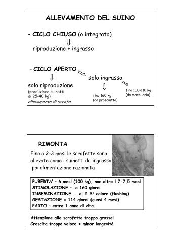 ALLEVAMENTO DEL SUINO - Agricolaregina.It