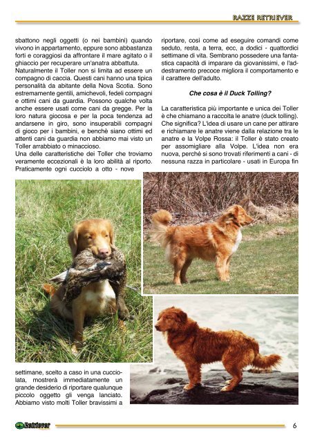 Copertina 6 - Retriever Magazine