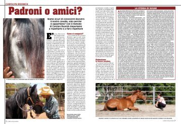 Costruire una vera Amicizia con il Nostro Cavallo