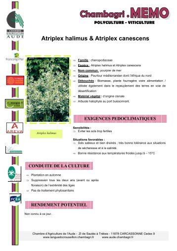 Atriplex halimus & Atriplex canescens - Chambre d'agriculture de l ...