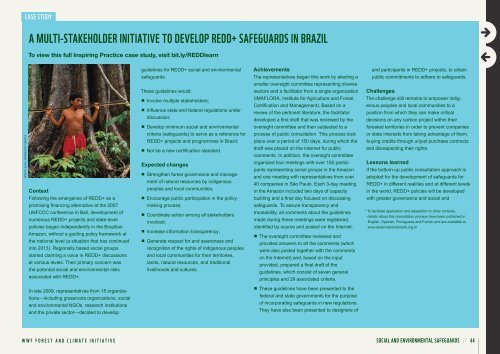 WWF Guide to Building REDD+ Strategies