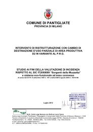 Valutazione di incidenza Milanoptics - Comune di Pantigliate