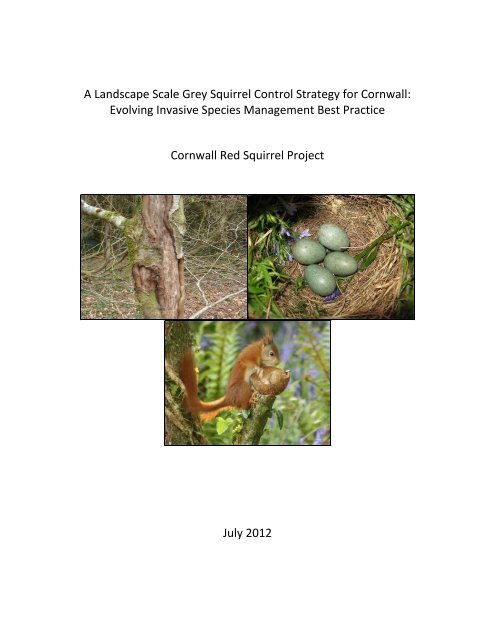 A Landscape Scale Grey Squirrel Control Strategy for Cornwall: