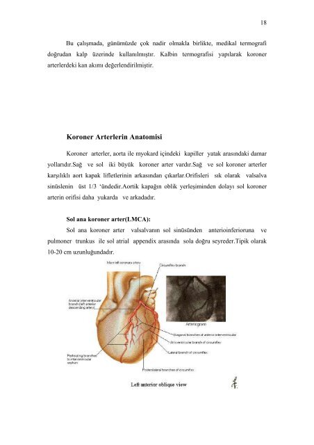 koroner arter cerrahisinde termal görüntüleme kullanılarak greft ...