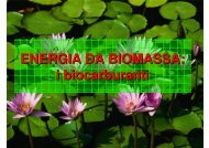 ENERGIA DA BIOMASSA: i biocarburanti