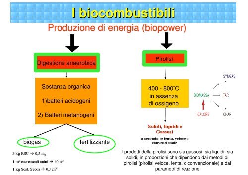 ENERGIA DA BIOMASSA: i biocarburanti