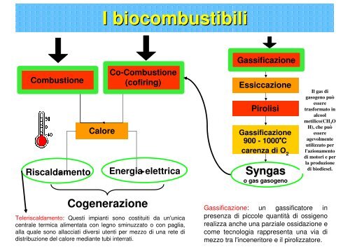 ENERGIA DA BIOMASSA: i biocarburanti